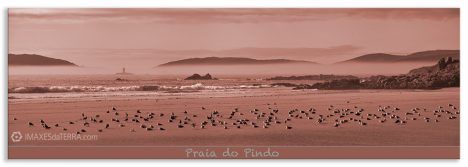 Comprar fotografía de Galicia Playa de O Pindo Decoración Naturaleza Paisaje